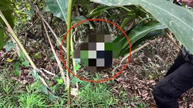 滷味、潭子、自戕、太平山區