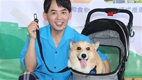 黃子佼。（圖／記者邱榮吉攝影）