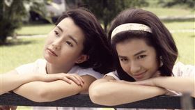 楊凡 張孝全 張曼玉 鍾楚紅 吳彥祖（圖／CATCHPLAY提供）