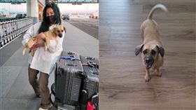 丹尼婊姐,鬼月,散步,樹林(翻攝自 丹尼婊姐星球)