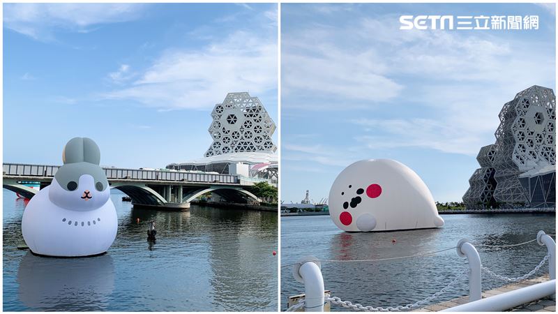愛河不只小海豹！6貼圖巨星集合完畢