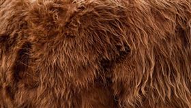 一名漁夫拍到「半人半狗」神祕生物。（示意圖／翻攝自pixabay）