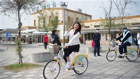 嘉義,戴寧,議員,涉詐,助理費