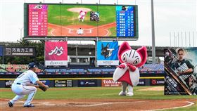 子彈列車 布萊德彼特 萌萌怪 中職（圖／索尼提供）