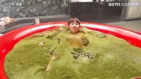 （圖／小河馬 授權）