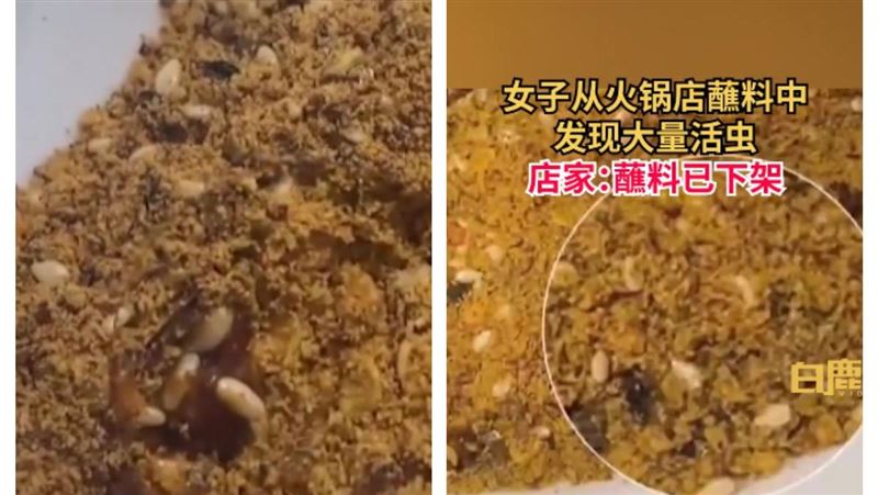 沙茶變培養土？火鍋沾醬全是蟲她傻眼