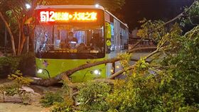 北投公車司機自撞路樹！擋風玻璃碎裂