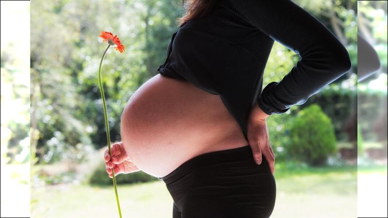 子宮移植不是夢！將造福更多女性
