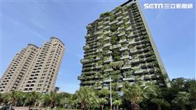 若山。（圖／台灣房屋提供）