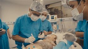 巴西一對頭部連體雙胞胎在虛擬實境（VR）技術協助下成功手術分割。（圖／翻攝自Gemini Untwined網頁geminiuntwined.org）
