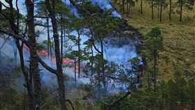 森林大火，野火，火災，森林，熱浪（示意圖／翻攝自pixabay）