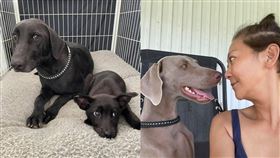 曹蘭。（圖／翻攝自曹蘭臉書）