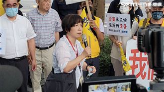 裴洛西將抵台！新黨集結抗議：滾出去