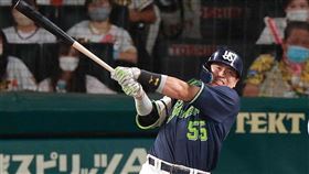 ▲村上宗隆連續5個打席擊出全壘打。（資料照／取自養樂多燕子FB）