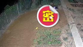 人妻深夜「下田播種」！狂操3小時…尪一看監視器傻了（圖／翻攝自今日頭條）