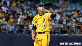 ▲中信兄弟先發投手陳柏豪。（圖／記者劉彥池攝影）