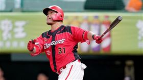 ▲味全龍林智勝296轟。（圖／味全龍球團提供）