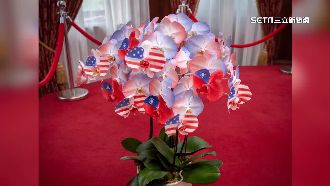 午宴最佳妝點　蘇貞昌贈台美國旗蘭花