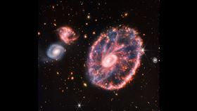 震撼！車輪星系有繽紛外環　韋伯望遠鏡拍到清晰影像（圖／翻攝自NASA Goddard推特@NASAGoddard）