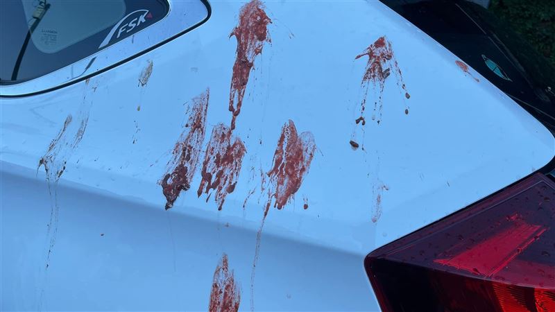 一早見愛車留詭異紅印　真相氣笑車主