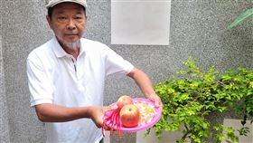 七夕,正緣,人緣,七娘媽,廖大乙