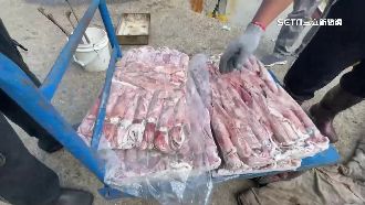 中軍演害漁民不能捕透抽　恐虧十幾萬