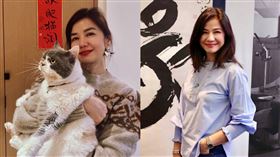 鍾楚紅。（圖／翻攝自鍾楚紅微博）