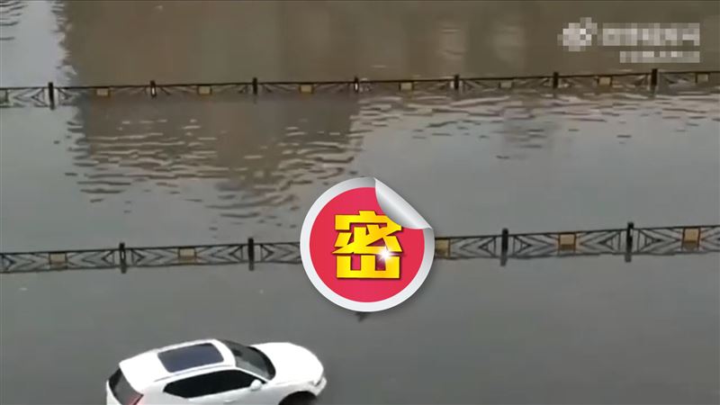 武林高手？黑衣女穩走「鋼絲」護欄