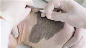 台大碩畢生吐「最糞科系」理由　心酸：工作嚇死、薪水笑死（圖／台大動科系官網）