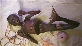 人魚化石。（圖／翻攝自百度）