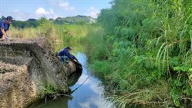 化石,採集,曾文溪,落水,溺水,浮屍