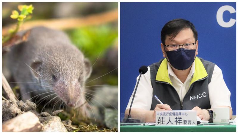 中國爆瑯琊病毒　莊人祥：納重點監測