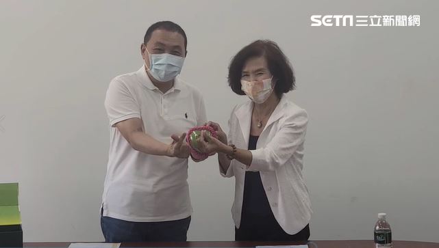 林姿妙遭訴　民進黨點名3大咖參選人