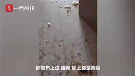 河南荒唐租屋（圖／翻攝自沸點視頻微博）