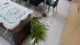 台北市,台北市政府,社會局,闖入