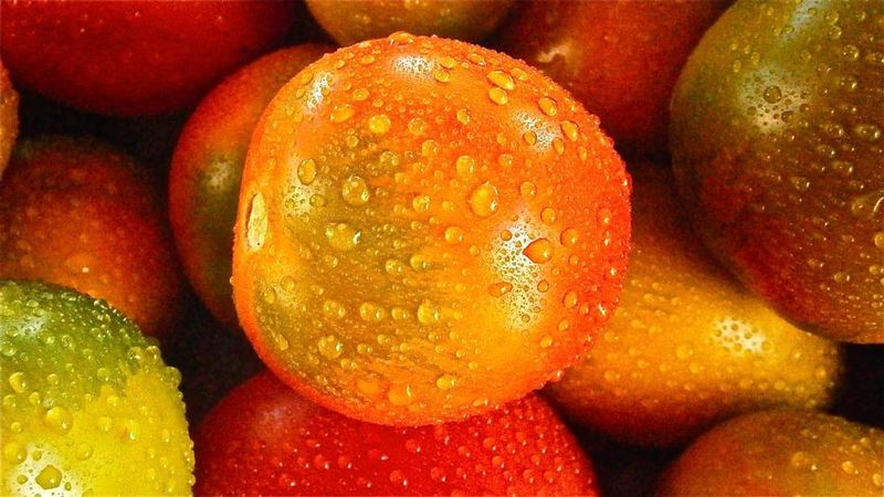 蔬果超養生？番茄搭這食物竟「傷胃」