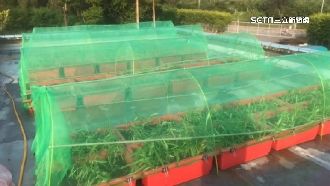 3事故報告僅1件？議員質疑北捷隱匿