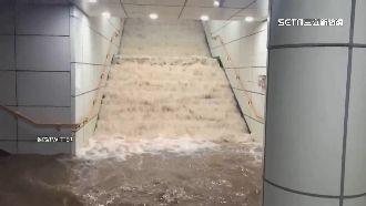 寄生上流悲歌！暴雨灌進房一家3人亡