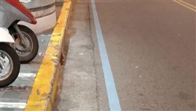 澎湖路面、藍線、標線