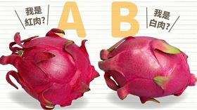 低熱量營養滿點，超好吃的紅龍果怎麼挑？（圖／翻攝自臺北農產）