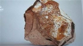 鯨魚大便龍涎香
