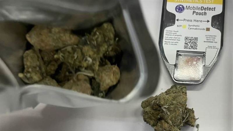 台南轎車飄出超濃九層塔味！警揪這包