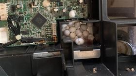 原PO表示在客人冷氣機中發現一窩蛋。（圖／翻攝自《爆廢公社二館》）