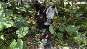 青竹絲,摔落邊坡,兄弟,樹林,翻攝畫面