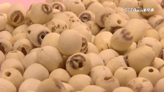 中國進口違規59批　食藥署提高抽驗