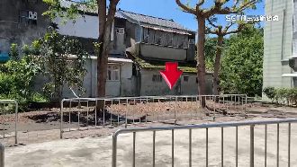 門口1棵樹變「困」　信風水砍樹遭罰