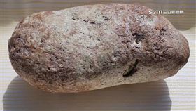 海邊怪石飄特殊香味 檢驗