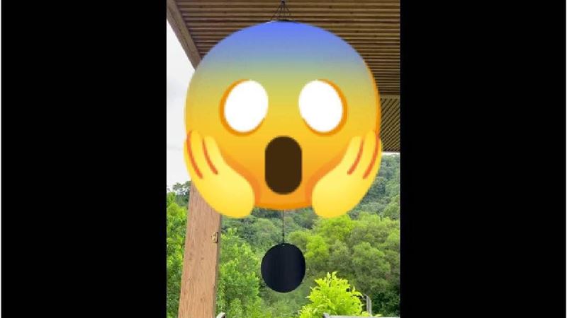 好市多療癒1物網怕爆：鄰居會牙起來