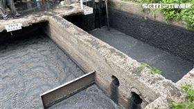 新北市養豬場驚傳實習生墜汙水池命危事件。（圖／翻攝畫面）