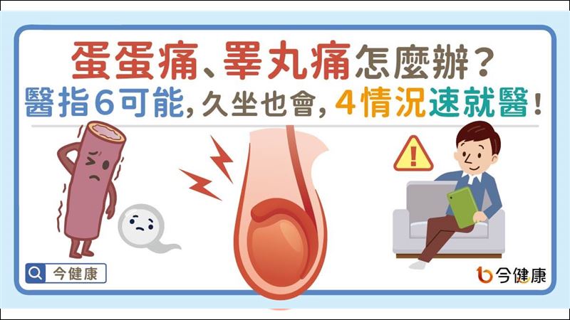 睪丸痛問題出在哪？醫師六原因告訴你